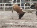 Cruel Cheyenne Rodeo Bans Video Cameras