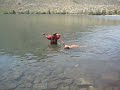 Doc swims (3)