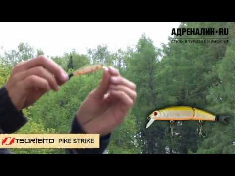 YouTube Трейлер