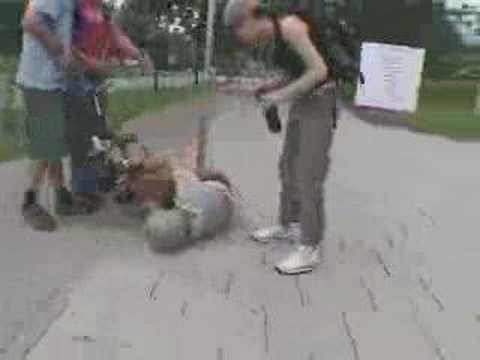 YouTube Preview Image