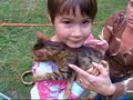 Choosing a Bengal Cat - ??? ??? Choosing a Bengal Cat - ??? ???