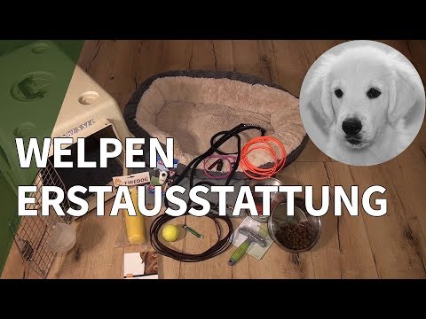 Welpen Erstausstattung: Empfehlung fr Welpen Zubehr u ...