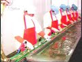 Anchoveta, pez bandera