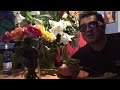 Mon Amie La Rose (In English)