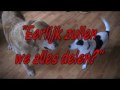 Spike 10 jaar.wmv