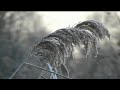 extrait du film 