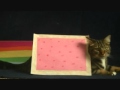 Real Life Nyan Cat