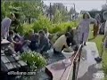 caidas-golpes-risa-funny-animals-bloopers-5.html