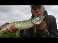Britain in Cold Blood - The Pike