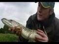 Britain in Cold Blood - The Pike