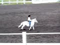 Miniature Horse Pole Bending!!!! Cute Alert!!!!!