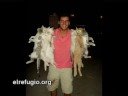 Declaran como imputados ante el Juez los autores de la matanza de gatos de Talavera. Los autores declaran como imputados en el Juzgado nº 3 de Talavera de la Reina. Los tres imputados declaran participar de forma activa en la matanza de gatos de Talavera. Dos de los imputados declaran haber tiroteado a los siete gatos. El Refugio denunció los hechos el pasado 27 de febrero y está personado como acusación. Los hechos suceden en el mes de octubre de 2007 en una finca de la provincia de Toledo....