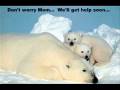 Polar Bear Video.wmv