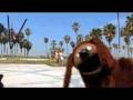 Rolling with the Skateboarding Dog