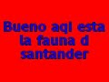 animakes de santadr y estrax
