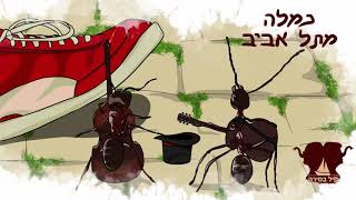 נמלה מתל אביב
