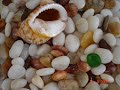 samos-island-avl-kia-tsabou-beach-part-1-.html