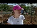 Edible Estate Austin:  Central Texas Gardener