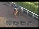[調教] 08/05/14 ザレマ 「京王杯SC」前追い切り