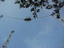 Singapore Bungy! Singapore Bungy!