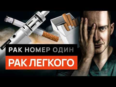 Программа "36,6" от 22.11.25. 31 выпуск.