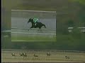 Clasico Jose Antonio Paez 1991
