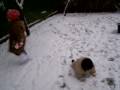 videos de 100 7292