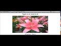 kachin boy teach Basic web layout 1-9