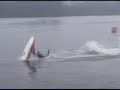 Radikaos - Jet Ski
