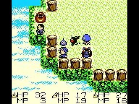 動画