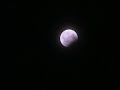 Mondfinsternis und Werwolfatmosphäre; Moon eclipse werewolf mood at 17.08.08 Mondfinsternis und Werwolfatmosphäre; Moon eclipse werewolf mood at 17.08.08