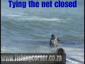Netting Sardines in the sardine run on the beach Netting Sardines in the sardine run on the beach