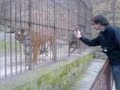Michel en de Tijger