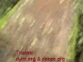 Thumbnail #3
