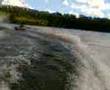 videos de Biscuiting