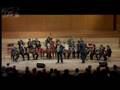 Constantin Fulgerica in concert