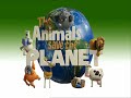 Elephant Shower - The Animals Save The Planet