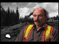 Setting standards for safety: Mechanical harvesting