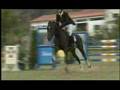 Hipismo - Videoclip
