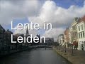 Lente in Leiden