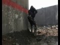 Halo-clip-film