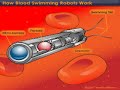nanotechnology nanorobots