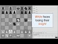 Chess : Blackburne Shilling Gambit Chess : Blackburne Shilling Gambit