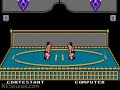 nesguide.com - world games. captured from an actual nes console and cartridge.