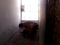 Maik En LA Teba