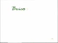 BRICONSEJO CON BOXAN