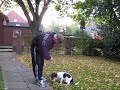 Der Hund eines Pumpers 2