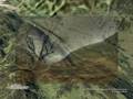videos de Glen Ogle Virtual Bike Ride