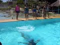 bahiya swimming (cont. 5)