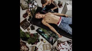 Felix Sandman - Everything Is Great tekst piosenki